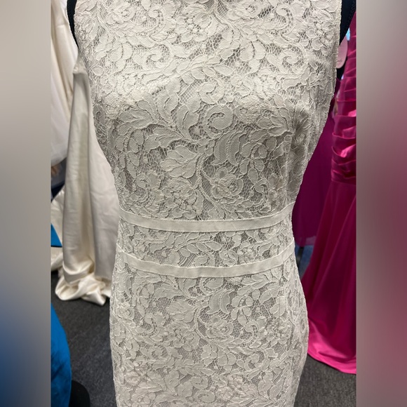 Lace Dress - Picture 3 of 4